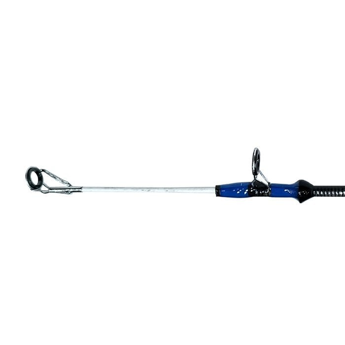 DFT%20Electra%20Surf%20Kamışı%20200%20g%20420%20cm