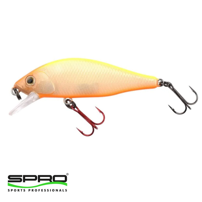 SPRO%20Ikiru%20Flat%2050FS%20N.%20Chart%20Back%201/1
