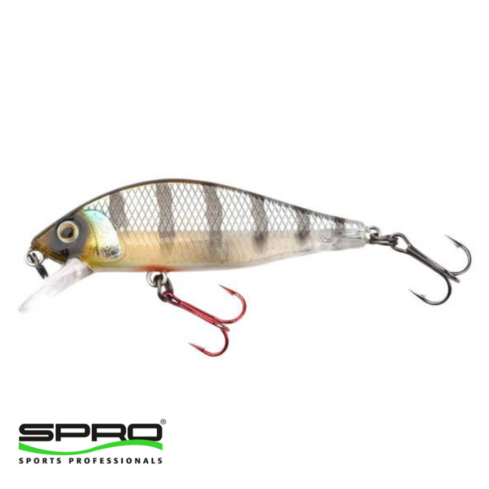 SPRO%20Ikiru%20Flat%20Jerk%2065%20FS%20Buzzer%201/1