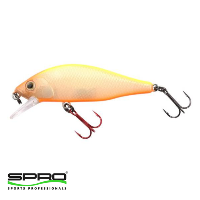 SPRO%20Ikiru%20Flat%20Jerk%2065%20FS%20N.Chart%20Back%201/1