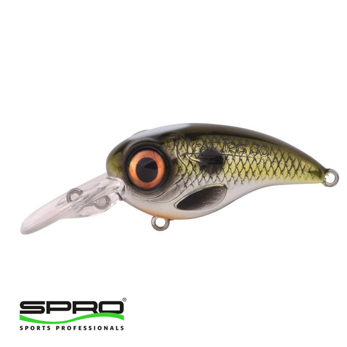 SPRO%20Fat%20Irıs%20CR%20Shad%205CM%2011G%20Sert%20Yem