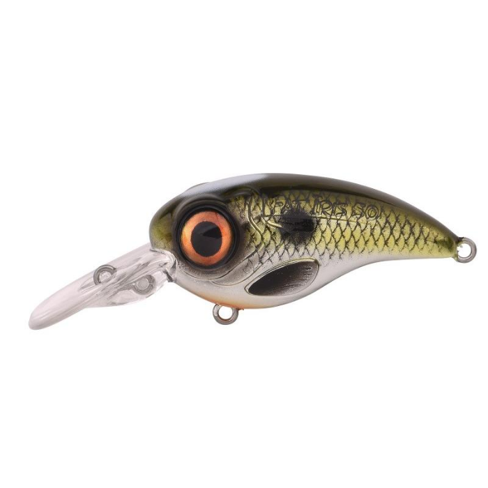 SPRO%20Fat%20Irıs%20CR%20Shad%205CM%2011G%20Sert%20Yem